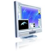 Brilliance LCD widescreen monitor