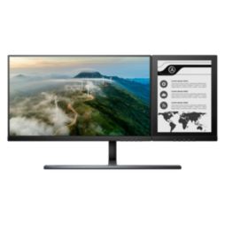 Business Monitor Dual screen display