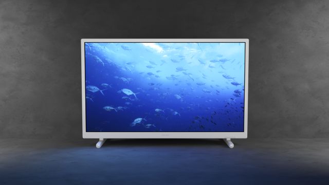 Philips TV 2022: 24PHS5537 HD TV