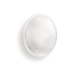 Hue White ambiance Phoenix wandlamp