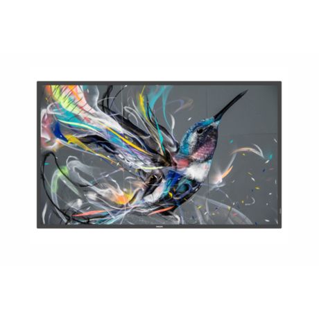 50BDL3550Q/00  Q-Line Display