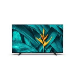 Professional TV