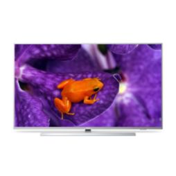 Professional TV