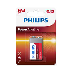 Power Alkaline Batteri