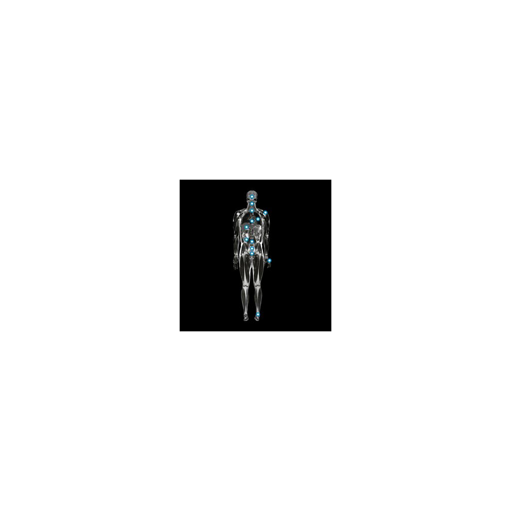 image of human body with clinical areas
