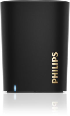 home mini philips hue