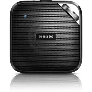 wireless portable speaker