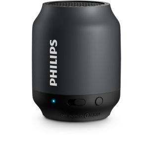 wireless portable speaker