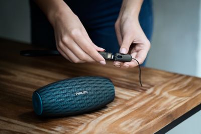 philips bluetooth speaker bt6900