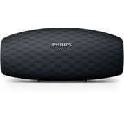 EverPlay wireless portable speaker