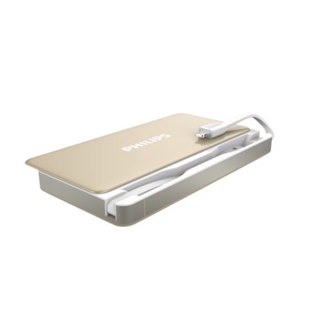 DLP6066GD/11  USB-powerbank