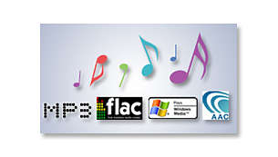 Lossless format (FLAC), MP3 and WMA playback