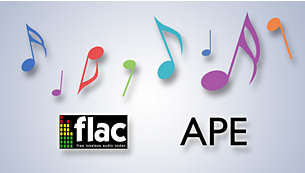 FLAC and APE lossless codec support for precise sound quality
