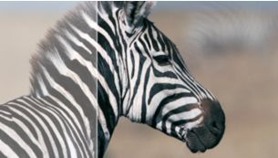 SmartContrast 20000000:1 可反映极其丰富的暗部细节