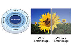 Оптимизация SmartImage для удобства использования SmartImage