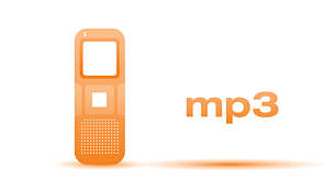 Registrazione stereo di qualità professionale in formato MP3 e PCM.
