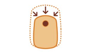 Small sized appliance for compact storage