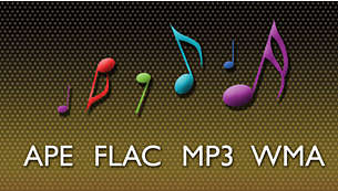 Podpora bezztrátového kódování formátů APE, FLAC, MP3 a WMA pro přesný zvuk