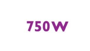 Erstklassiger 750 W Motor