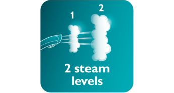 2 steam levels
