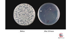 L'involucro antimicrobico inibisce in modo consistente la crescita dei batteri