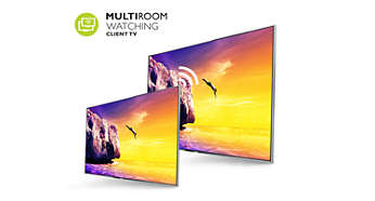 Multiroom clientview live TV and recordings from another TV