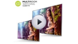 Multiroom клиент: смотрите прямой эфир или записи на другом телевизоре