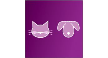 The nozzle's motorized brush thoroughly removes pet hair