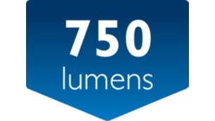 Light output: up to 750 lumens (up to 350 lumens/module)