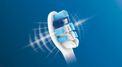 Conçue pour l'amélioration optimale de la santé des gencives