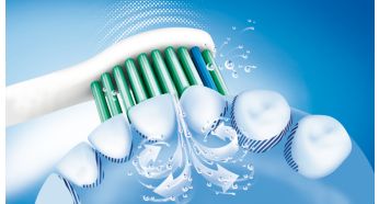 Sonicare dynamic cleaning action drives fluid between teeth