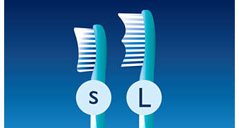 2 brush head sizes available