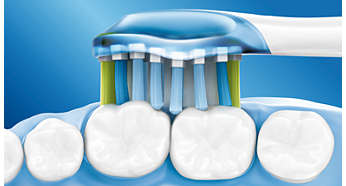 4x více kontaktu s povrchem zubů a dásní* pro unikátní hloubkové čištění bez námahy