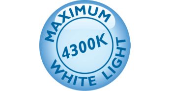 A premium driving experience with intense white Xenon effect