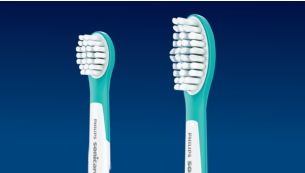 Dois tamanhos de cabe&ccedil;as da escova