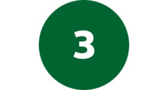 3 tipos clássicos de massa, incluindo espaguete, penne, fettuccine