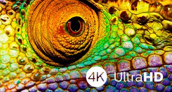 The beauty of 4K UltraHD TV is in savoring every detail