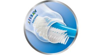 Wide neck and only few parts for easy cleaning