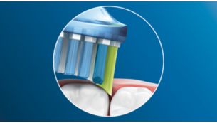 Élimine jusqu'à 10 fois plus de plaque qu'une brosse à dents manuelle