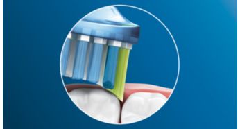Élimine jusqu'à 10 fois plus de plaque dentaire qu'une brosse à dents manuelle