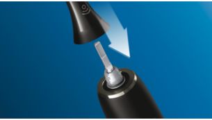 扣合式刷頭設計，確保可以簡單地更換刷頭