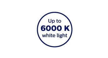 6000 Kelvin color temperature for crisp white light