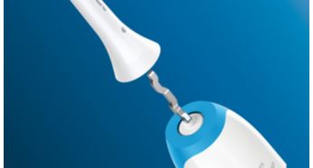 Click-on brush head system