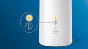 Always know when to replace your brush heads