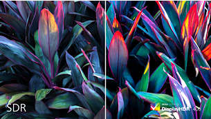 DisplayHDR 400, pour des images plus réalistes, aux couleurs plus intenses
