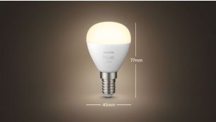Vind de perfecte lamp voor kleine armaturen