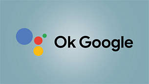 Compatível com OK Google