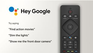 Hey Google — Search, discover, control your smart home