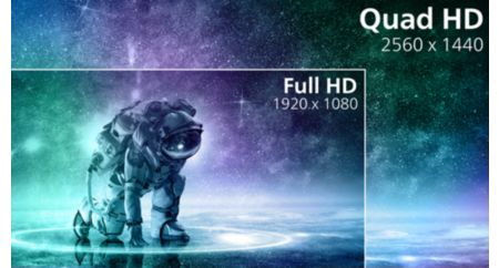 Curved Gaming Monitor Màn hình chơi game Quad HD 32M1C5500VL/01 | Evnia