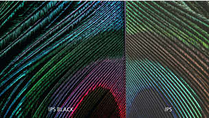 IPS Black : pour une expression des couleurs détaillée et une clarté 4K